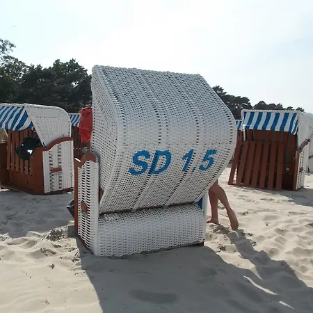 Ruhige Mit Strandkorb, Stranddistel,