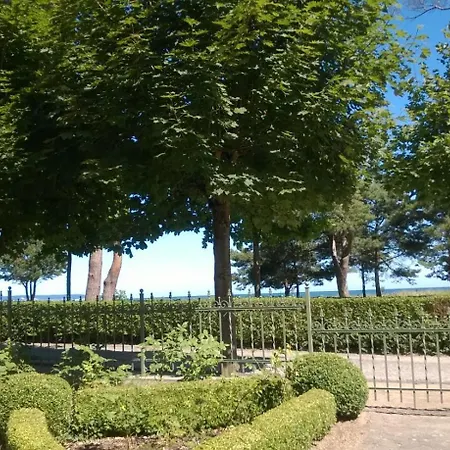 Ruhige Mit Strandkorb, Stranddistel, * Binz