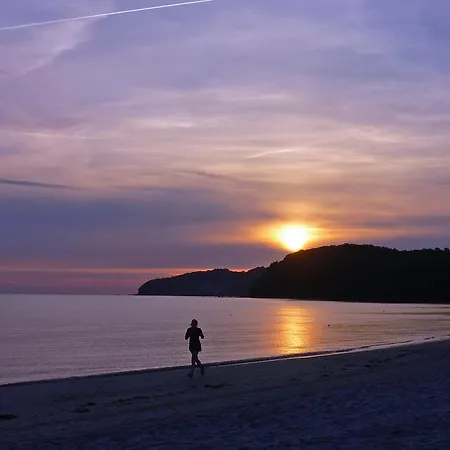 Ruhige Mit Strandkorb, Stranddistel, *