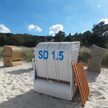 Ruhige Mit Strandkorb, Stranddistel, Binz
