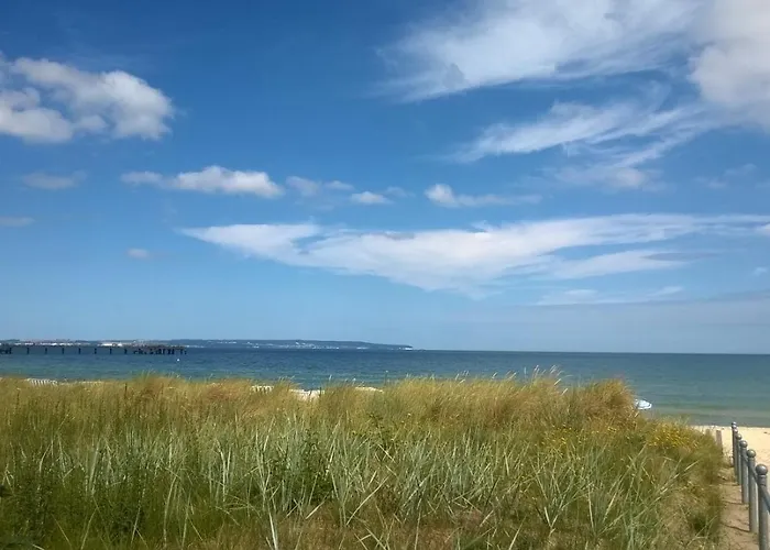 Ruhige Mit Strandkorb, Stranddistel, 公寓 宾茨