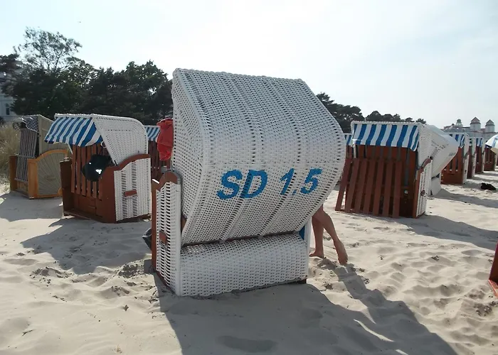Ruhige Mit Strandkorb, Stranddistel,