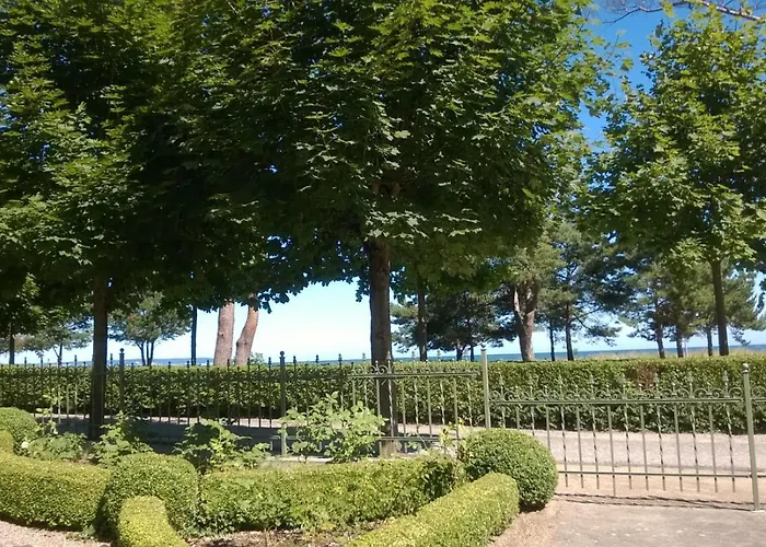 Ruhige Mit Strandkorb, Stranddistel, * Binz